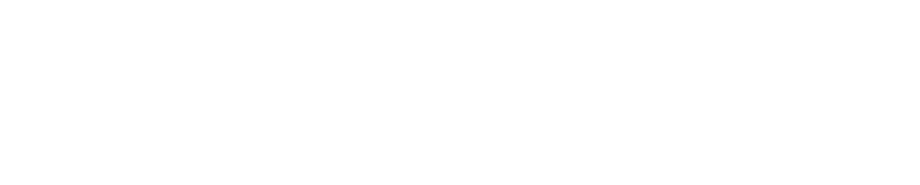 sb carpentry logo upscaled white